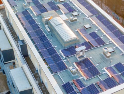 Flachdächer fit machen für die Energiewende