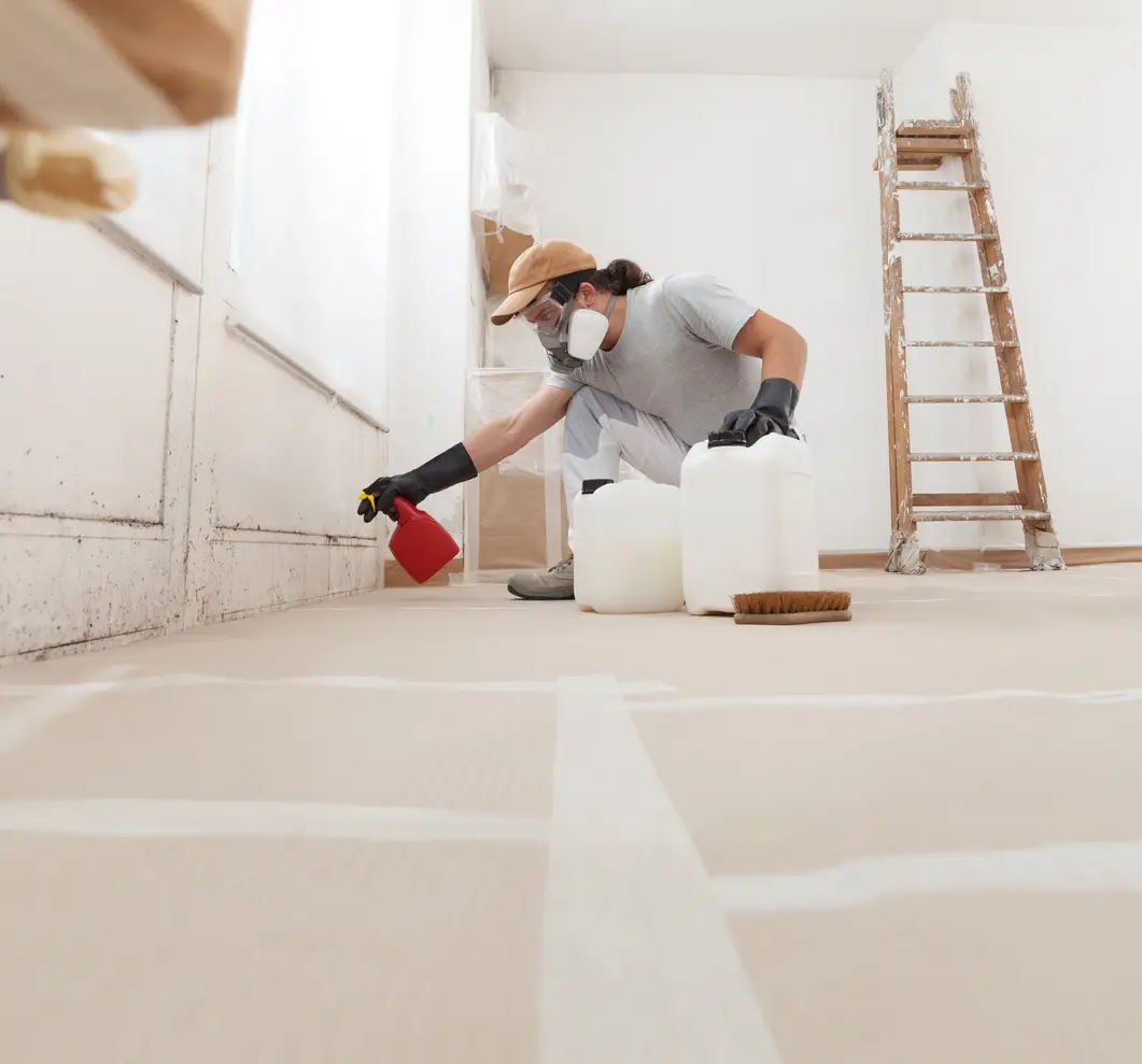 In the home renovation site worker using products for mold remediation treatment wearing a respirator mask and using bottle spray. Concept of house painting, cleaning and mold removal service